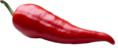 Red fresno pepper
