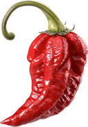 Ghost Pepper