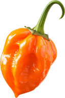 Habanero